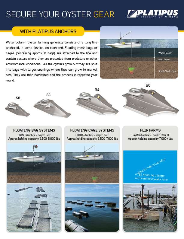Oyster Farming Flyer - Front page